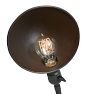 Vintage Industrial Steel Gooseneck Table Lamp