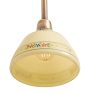 Vintage Traditional Pendant with Painted Shade