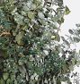 Evergreen Woods Dried Wreath