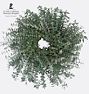 Evergreen Woods Dried Wreath