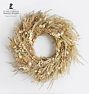 Pampas Blossom Dried Wreath, 20"
