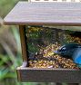 Hopper Bird Feeder