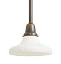 Rose City Pendant with Vintage Shade