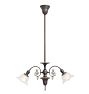 Ornate Antique Victorian 2-Arm Pendant