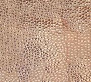 Polished Copper
