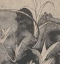 Branch with Young Shoots Framed Reproduction Wall Art Print