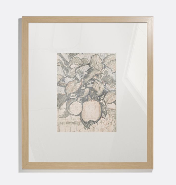 Emperor Alexander Apples Framed Reproduction Wall Art Print 8"x10" by Jac van Looij