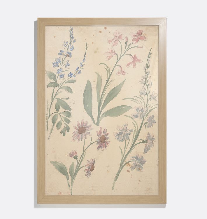 Four Studies of Pink and Blue Flowers Framed Reproduction Wall Art Print 10"x14" by Elias van Nijmegen