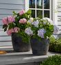 Lyre Terracotta Planters
