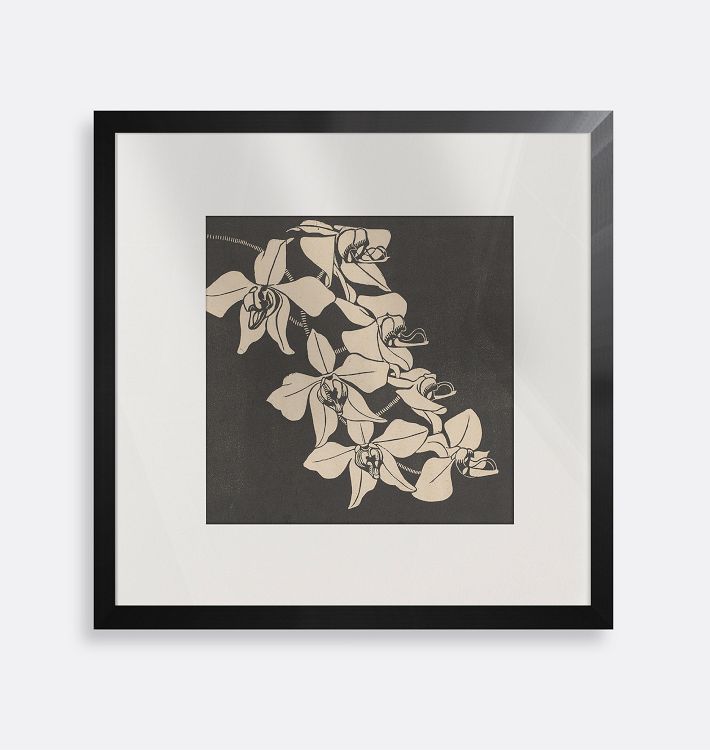 Orchids Framed Reproduction Wall Art Print, 8" x 8" - Black Wood Frame