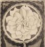 Rose by Samuel Jessurun De Mesquita Framed Reproduction Wall Art Print
