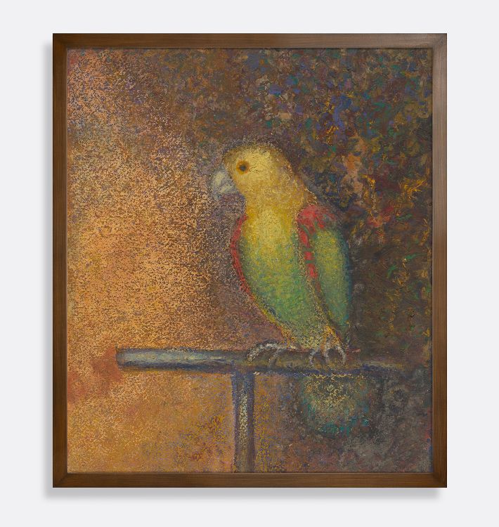 Parrot Framed Reproduction Wall Art Print, 14" x 16" - Walnut Finished Wood Cap Frame