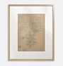 Papaya Tree, Ecuador Framed Reproduction Wall Art Print, 16" x 20" - Natural Wood Frame with Acrylic Glaze