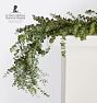 Live Baby Eucalyptus Garland & Wreath, 10' - Garland