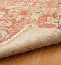 Folley Hand-Knotted Rug