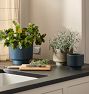 Ava Ceramic Planters
