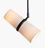Conifer Pendant Track Light