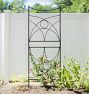Aurora Iron Trellis