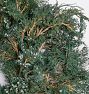 Juniper Dried Wreath