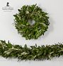 Live Ruscus &amp; Olive Garland and Wreath