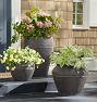Tara Ficonstone Planter