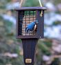 Modern Farmhouse Suet Bird Feeder with Tail Prop