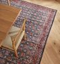 Greyson Indoor/Outdoor Hand-Knotted Rug