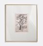 Oak Framed Reproduction Wall Art Print 16"x20" by Cornelis Steffelaar