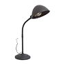 Vintage Industrial Gooseneck Desk Lamp