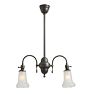 Vintage Victorian Chandelier 2 Arm Electric