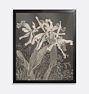 Orchids by Theo Van Hoytema Framed Reproduction Wall Art Print, 12" x 14" - Black Finished Wood Frame with Acrylic Glaze