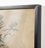 Nature Study Sketch by Walter Shirlaw Framed Reproduction Wall Art Print