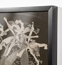 Orchids by Theo Van Hoytema Framed Reproduction Wall Art Print