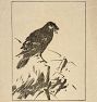 Raven by Arthur Wesley Dow Framed Reproduction Wall Art Print
