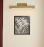 Orchids by Theo Van Hoytema Framed Reproduction Wall Art Print