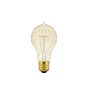 40W Vintage Quad-Loop Filament Bulb