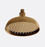 Shower Head Rain 8in HEB