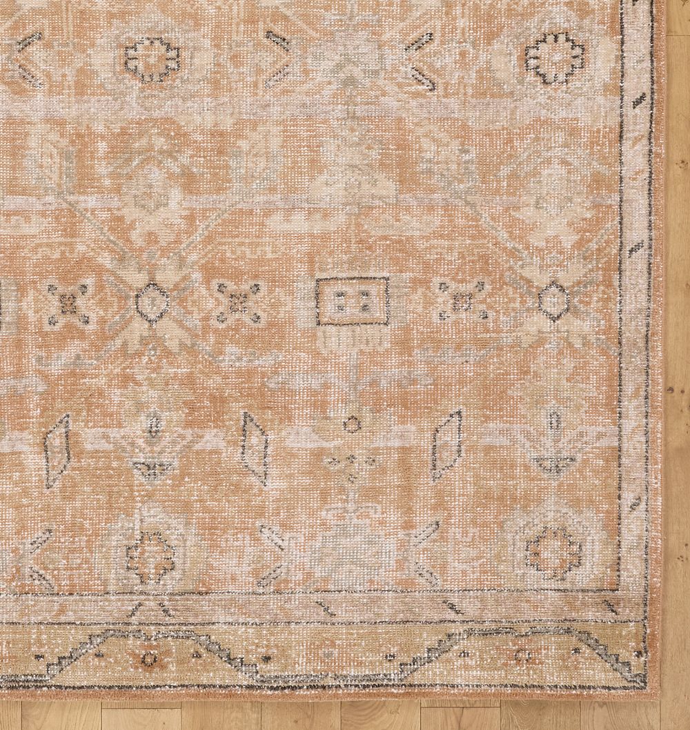 Rosina Indoor/Outdoor Hand-Knotted Rug by Rejuvenation