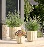 Liza Ficonstone Planters