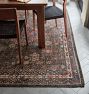 Everyl Hand-Knotted Rug