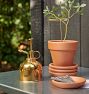 Brass Plant Mister