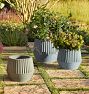 Lawrence Concrete Planters