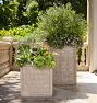 Maroney Concrete Planters