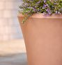 Peyton Ficonstone Planters
