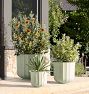 Liza Ficonstone Planters
