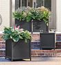 Covington Planters