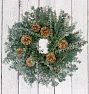 Evergreen Woods &amp; Pinecones Dried Wreath