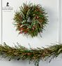 Live Grevillea &amp; Baby Blue Eucalyptus Garland and Wreath