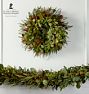 Live Grevillea &amp; Seeded Eucalyptus Garland and Wreath