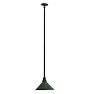 Vintage Industrial Pendant with Rustic Green Projection Shade
